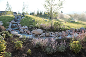 3 Creek Landscape Stream