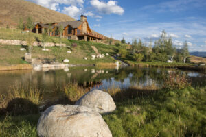 Pond Maintenance