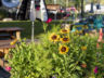 Brewery Front Yard Flower Pot