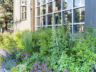 Brewery Front Yard Garden Bed