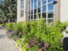 Brewery Front Yard Garden Bed Windows