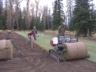 Sod-Roller-Team-Action