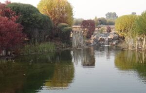 Postcard-Pond-Waterfall-View