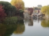 Postcard-Pond-Waterfall-View