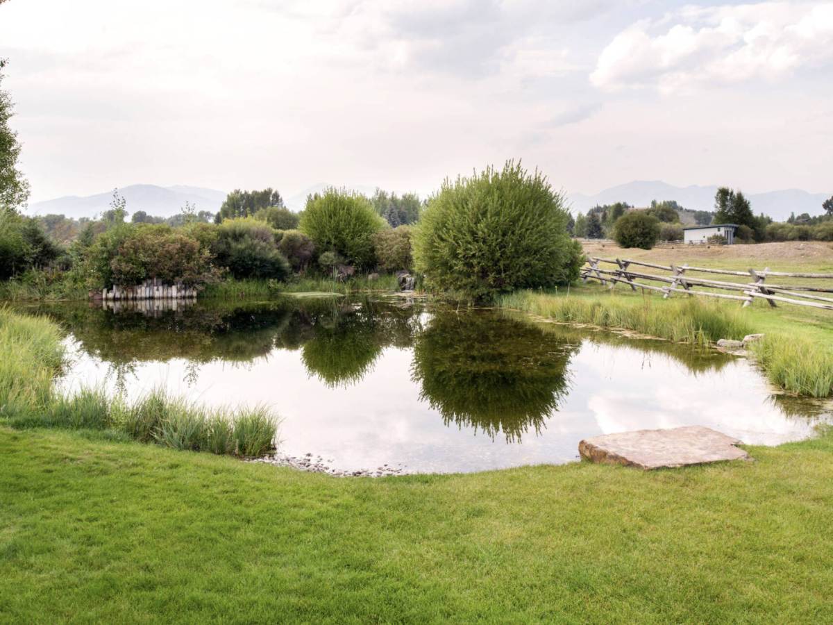 Postcard-Pond-West-View