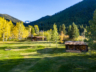 Seven-Cabins-Commercial-Landscaping-Sod-Trees