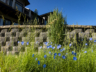 Town Delight Pavers Wall Flowers Grasses