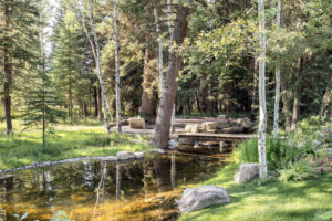 Wyoming-Social-Stream-Bridge